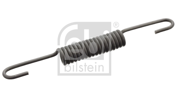 Spring, brake shoes